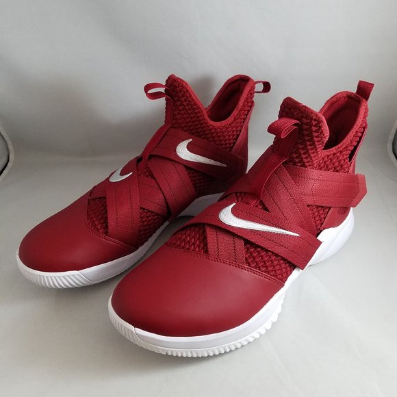 lebron soldier 12 tb